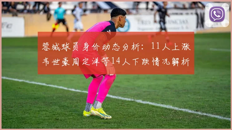 蓉城球员身价动态分析：11人上涨韦世豪周定洋等14人下跌情况解析