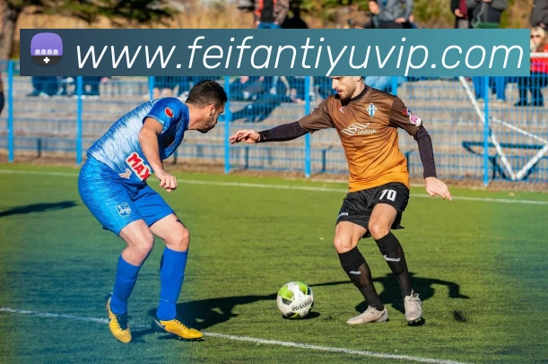 非凡体育平台生态图