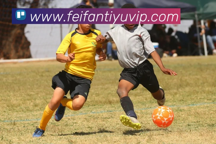 非凡体育APP 封面图